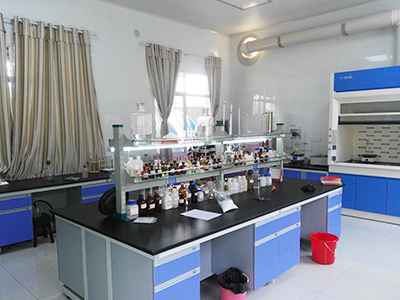 p3.jpg